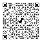 qrCode10